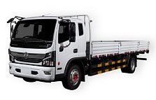 DONGFENG C120